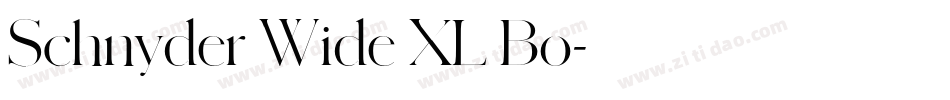 Schnyder Wide XL Bo字体转换